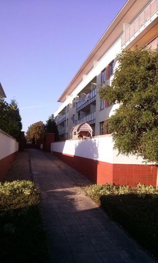 Apartament Zaglowce 코워브제크 외부 사진
